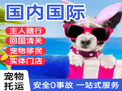 栎社机场快递国际宠物托运 【国